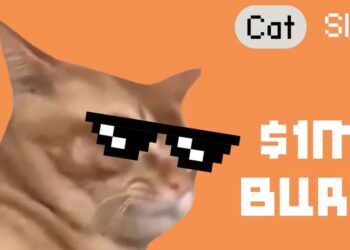 Catslap $1M Burn Sends SLAP Up 42%, Leaving Popcat Behind