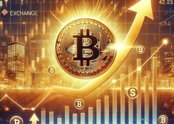 What Investors Need to Know