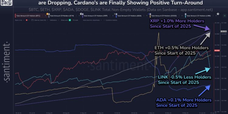Dogecoin Hodlers Surge In 2025: Will Price Skyrocket Next?