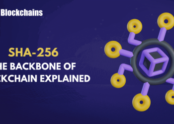 What is SHA 256 Algorithm and How does it work?