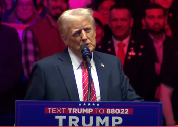 Trump Now Holds 90%+ Of Net Worth In Crypto, What This Means