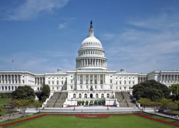 Expert: Trump May Honor Election Promises, but Progress Depends on Legislative and Regulatory Support