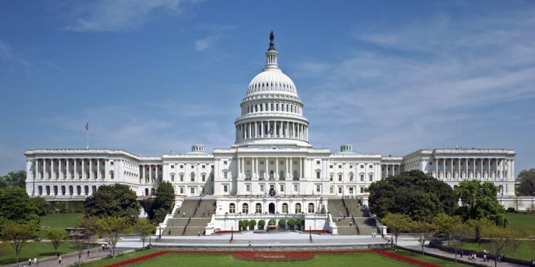 Expert: Trump May Honor Election Promises, but Progress Depends on Legislative and Regulatory Support