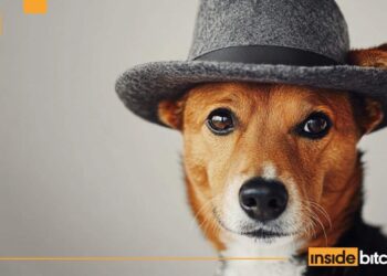Dogwifhat Price Pumps 5% As This ICO Closes On $16 Million