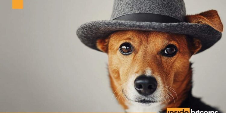 Dogwifhat Price Pumps 5% As This ICO Closes On $16 Million