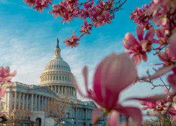 Ripple CEO Praises New Treasury Secretary—Expects Pro-Crypto, Pro-Tech Reforms