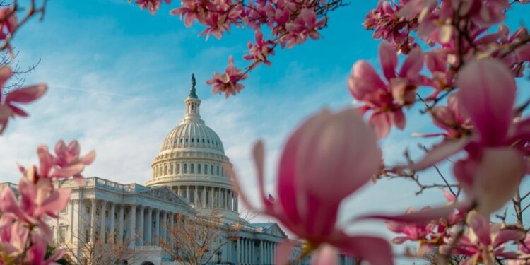 Ripple CEO Praises New Treasury Secretary—Expects Pro-Crypto, Pro-Tech Reforms