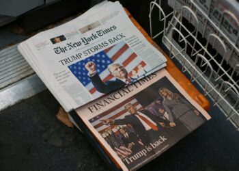 Trump ‘Opened The Era Of Memecoins’, CryptoQuant CEO Says