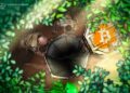 When will Bitcoin price bottom?