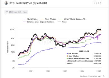 How Close Is Bitcoin To A Bear Market? This Historical Level May Contain Hints
