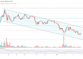 Solana To $520? Investment Firm Drops Bombshell SOL Prediction