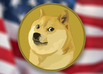 Dogecoin Foundation Director Teases Big Partnerships With American Brands, Wider Adoption Of DOGE Payments