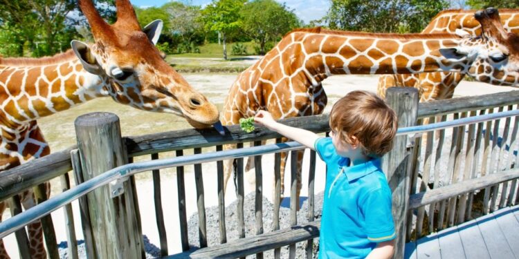 Mexican Billionaire Ricardo Salinas States That Europe Is a Zoo: Citizens to Be Spoon-Fed CBDC