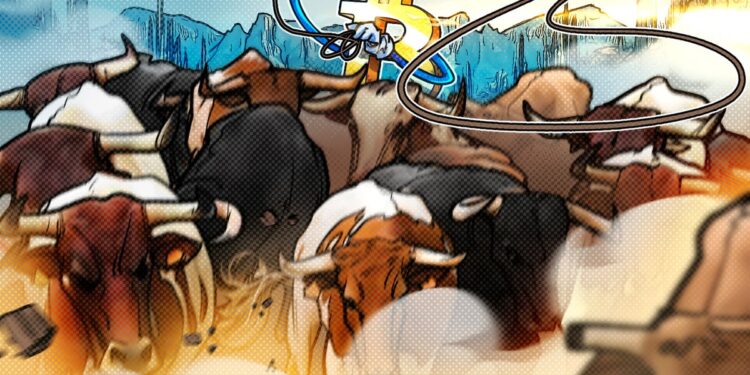 The Bitcoin bull market isn’t dead yet