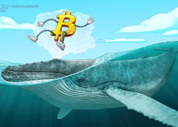 Bitcoin price falls toward range lows, but data shows ‘whales going wild right now’