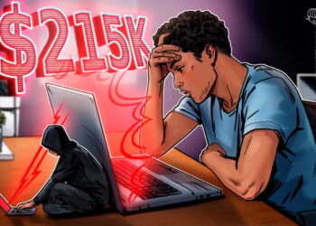 Crypto trader gets sandwich attacked in stablecoin swap, loses $215K
