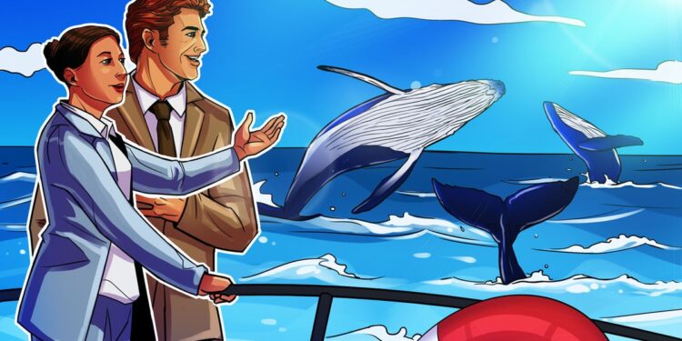 Hyperliquid opened doors to ‘democratized’ crypto whale hunting: Analyst