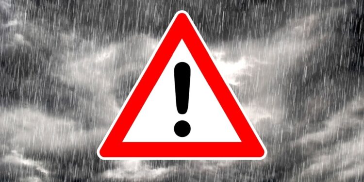 24 Ways Crypto Investors Are Being Hunted by Cybercriminals—Wallets Drained at Record Speed