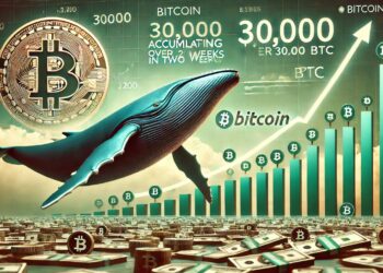 Bitcoin Whales Accumulate Over 30,000 BTC In 2 Weeks – Sign Of A Coming Impulse?