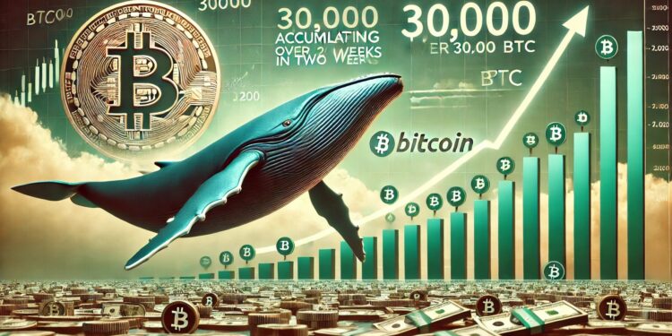 Bitcoin Whales Accumulate Over 30,000 BTC In 2 Weeks – Sign Of A Coming Impulse?
