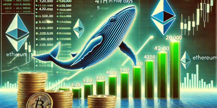 Whales Accumulate Over 420,000 Ethereum In Five Days – Rally On The Horizon?