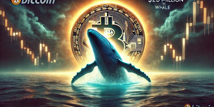 $250-Million Bitcoin Whale Awakens After 8 Years – Massive Move Stirs Market