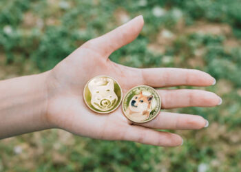 Here’s What Triggered The Dogecoin And Shiba Inu Price Crashes