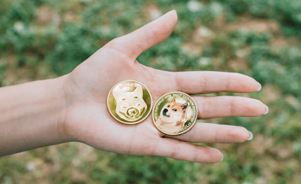 Here’s What Triggered The Dogecoin And Shiba Inu Price Crashes