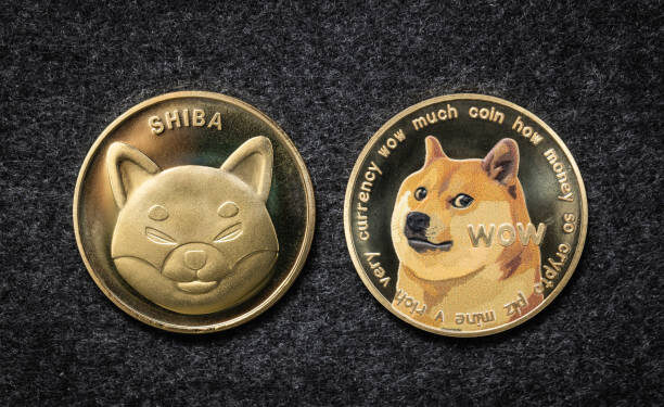 Is It Over For Dogecoin And Shiba Inu After Latest Crash? Machine Learning Algorithm Has Answers