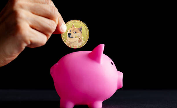 Dogecoin Foundation’s Corporate Arm Launches Official DOGE Reserve With Massive Purchase, Here’s What We Know