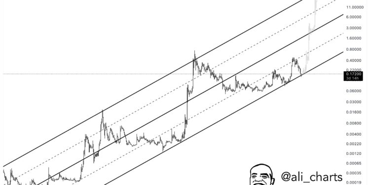Dogecoin Can Still Go Parabolic If This Support Holds, Analyst Says