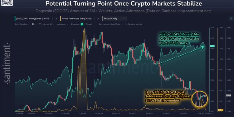 Dogecoin Shark & Whale Population Rises—Price Turnaround Incoming?