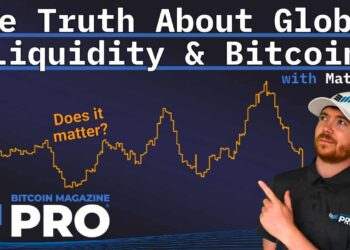 How Global Liquidity Fuels Bitcoin Price Growth