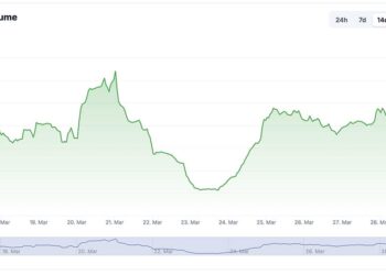 Trump Pardon BitMEX Co-Founders: Time to Buy Crypto?