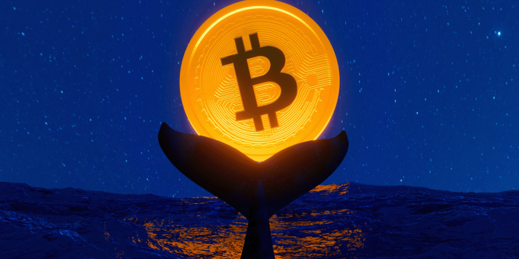 Is A Deeper Price Decline Ahead?