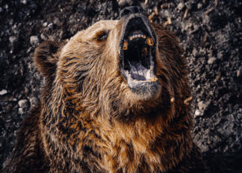 Bitcoin Price Watch: BTC’s Next Move Hinges on $83.5K Support Amid Low Demand