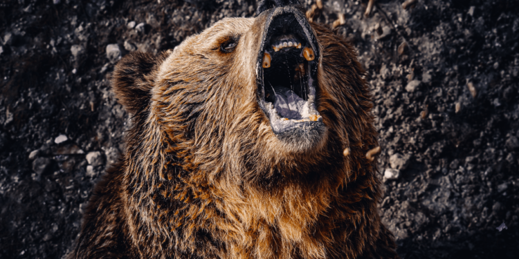 Bitcoin Price Watch: BTC’s Next Move Hinges on $83.5K Support Amid Low Demand