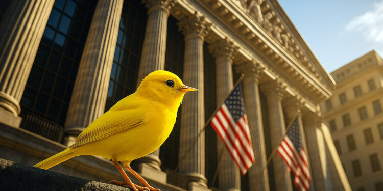 Canary CEO says firm’s unconventional altcoin ETFs are bet on emerging, overlooked tokens