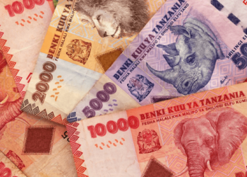 Tanzanian Shilling’s 8.9% YTD Drop Earns It World’s Worst-Performing Currency Status
