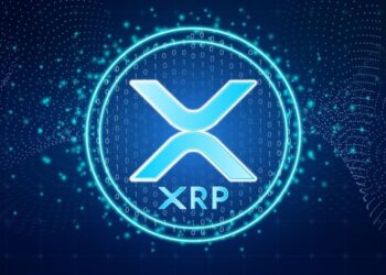 Peter Schiff Rips Into US XRP Reserve—Asks ‘What’s So Special About XRP?’