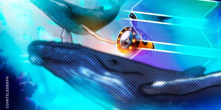 Solana whale sits on $153M profit after 4-year staking play
