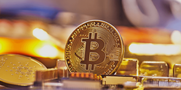 Crypto Chill: Bitcoin Dips 2.6% Under $81K Ahead of Wall Street’s Next Move