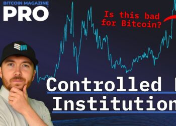 Is 8% Of Bitcoin Owned By Institutions A Threat To Its Future?