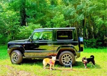 BREAKING: Doge Creator Atsuko Sato Announces First-Ever Doge Memorial Party – Global Pilgrimage for Fans?