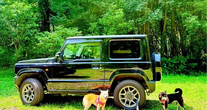 BREAKING: Doge Creator Atsuko Sato Announces First-Ever Doge Memorial Party – Global Pilgrimage for Fans?