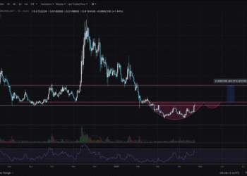 BONK crypto set to Explode: Alt Season Incoming?