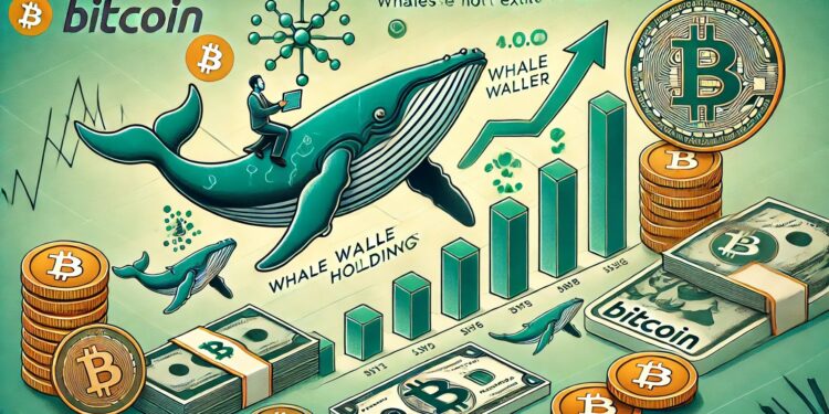 Bitcoin Whales Haven’t Made Their Exit Yet – Is The Bull Cycle Still Intact?