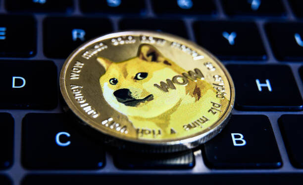 Dogecoin’s Journey To Its Current Peak Hinges On This Pivotal Price Level