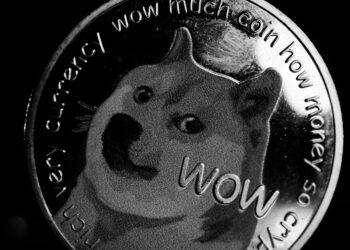 Dogecoin Developer Sends Scam Alert To Community, Here’s The 411