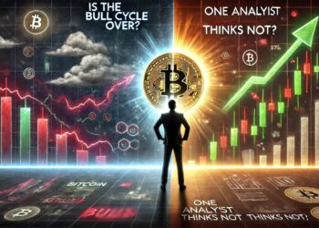 Is Bitcoin Bull Cycle Over? This Analyst Thinks Different